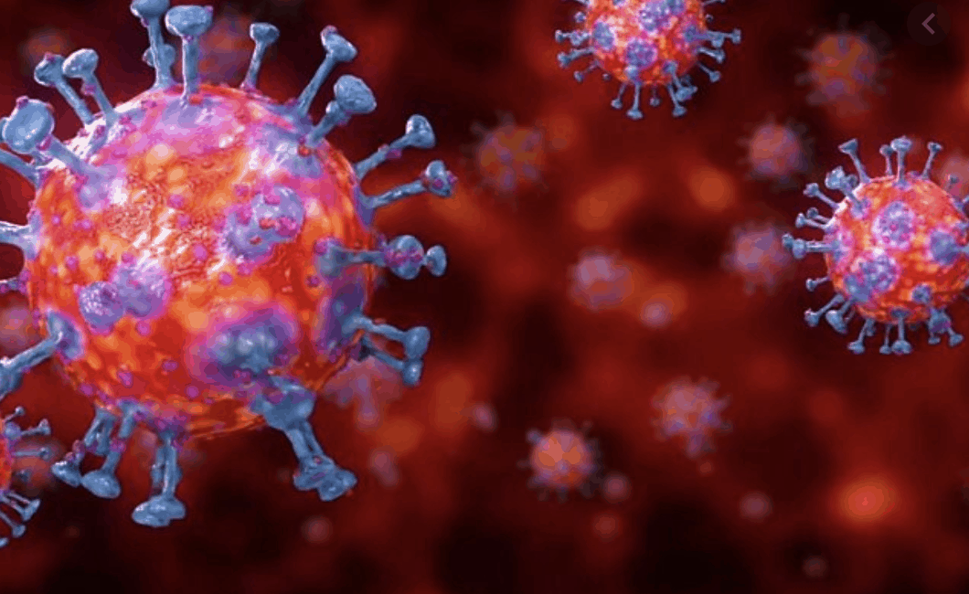 corona virus myths