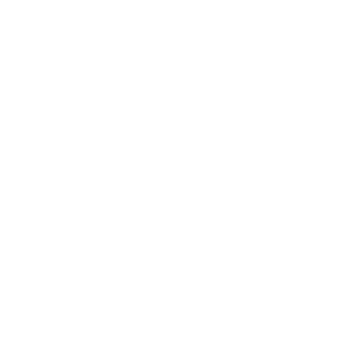 laptop-icon